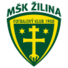 日利纳B队logo